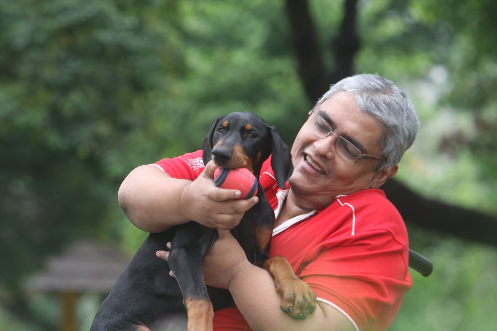 6 Benefits Of Pet Therapy For Dementia Patients Samvedna Senior Care