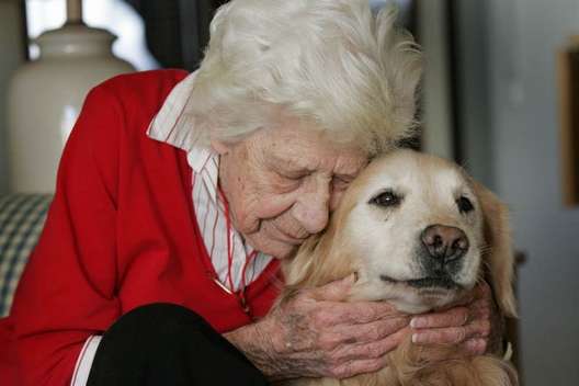 pet therapy for alzheimer's patients